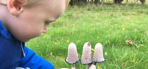 Child in awe of mushroom